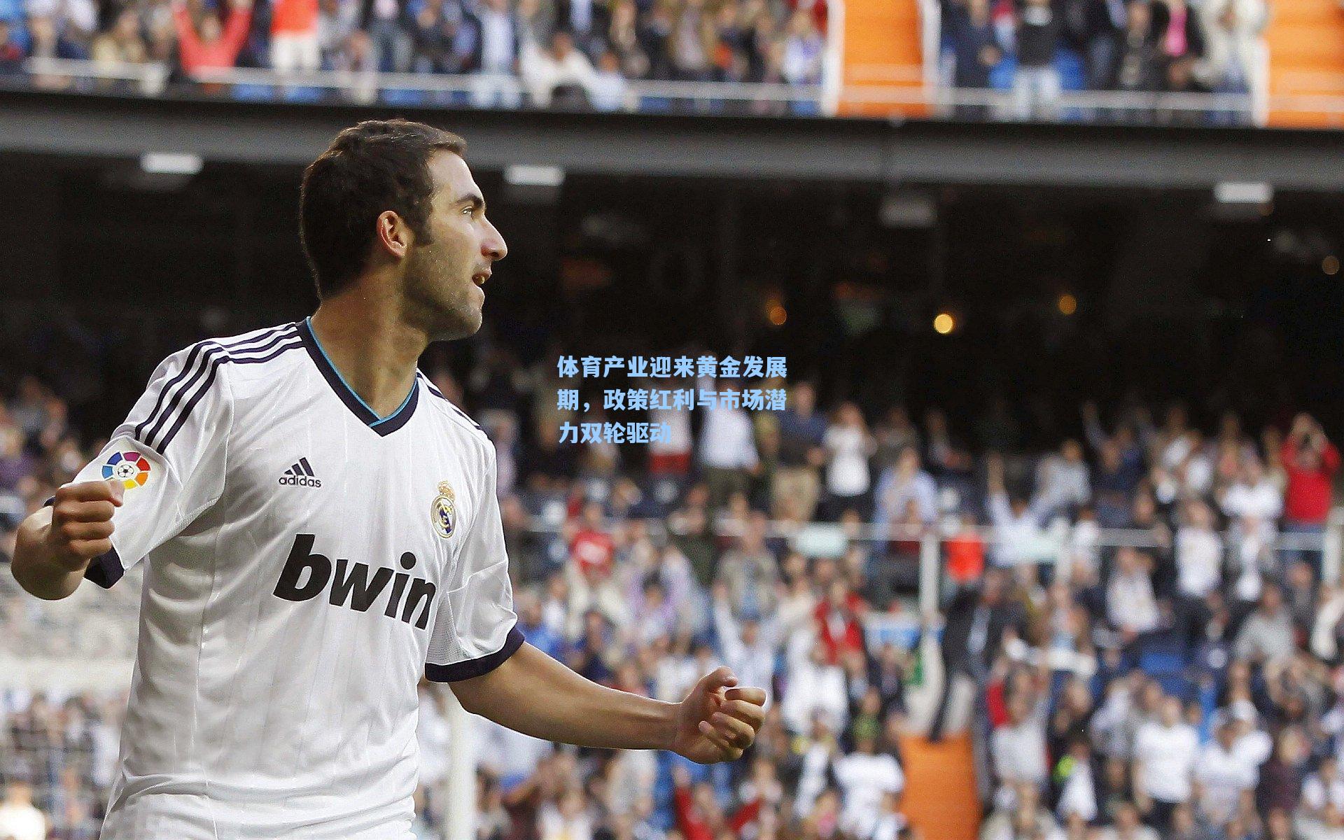 华体会体育平台|体育产业迎来黄金发展期，政策红利与市场潜力双轮驱动