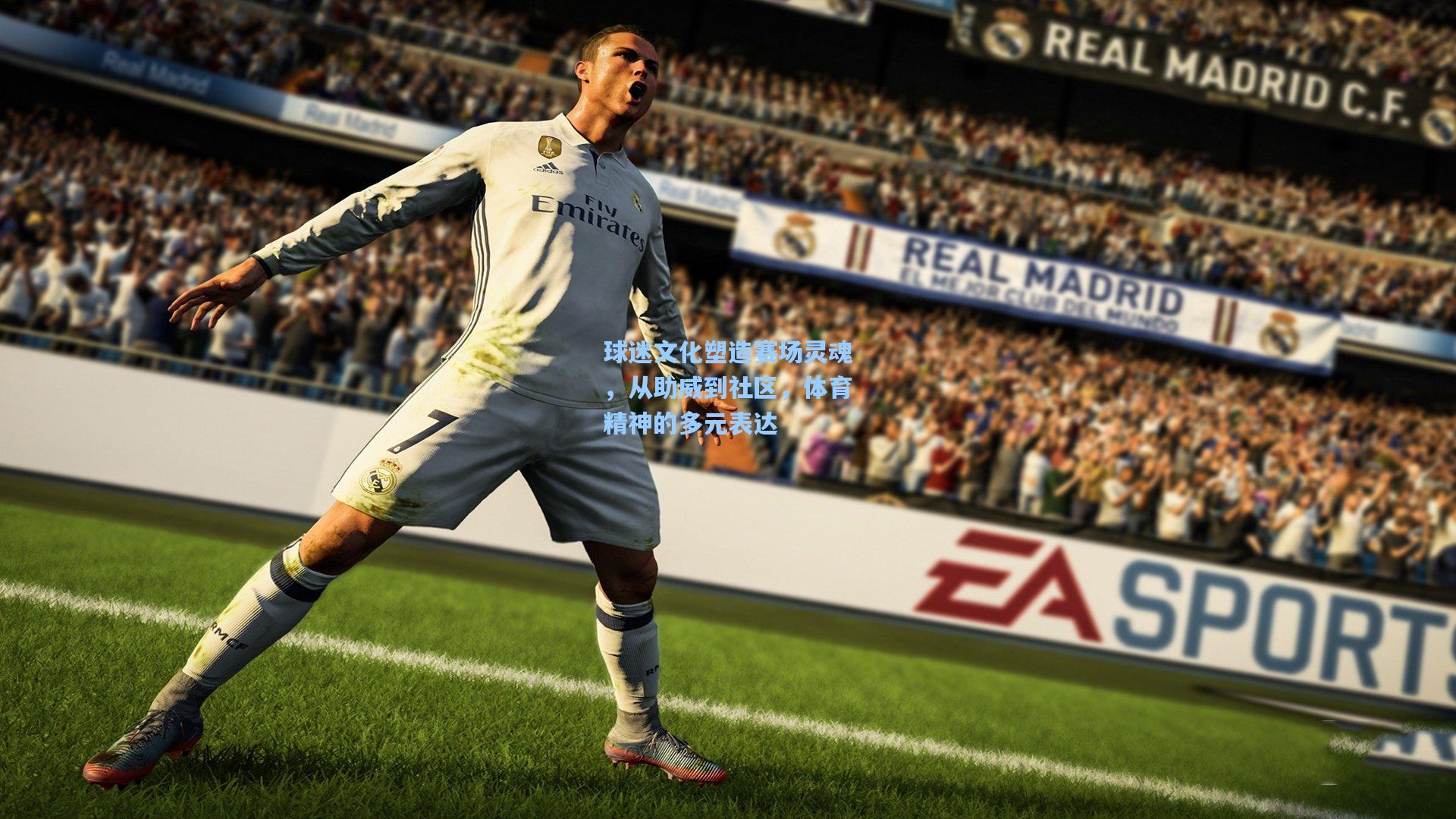 【华体会体育内容】球迷文化塑造赛场灵魂，从助威到社区，体育精神的多元表达